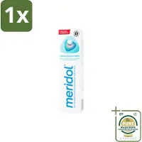 Meridol 1 x Tandpasta Tandvleesbescherming 75 ml- Tandpasta - Tandvleesbescherming - Geïrriteerd Tandvlees - Antibacterieel - Plaque