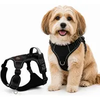 By Cee Cee Hondentuigje Hondenharnas - Anti Trek Tuig - Y Tuig Hond – Reflecterend Honden Tuigje – Zwart – Maat S