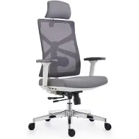 Famanu – Ergonomische bureaustoel met adaptieve rugleuning, hoge rugleuning, verstelbare armleuningen en lendensteun, witte taakstoel