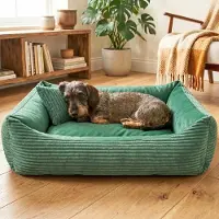 Markenlos – 4L hondenbed van corduroy voor middelgrote honden, wasbaar met hoes, groen, 60 x 40 cm