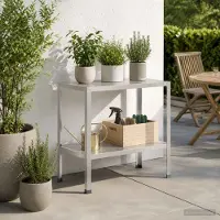 vidaXL Planttafel 60 x 50 x 80 cm Roestvrij staal zilver