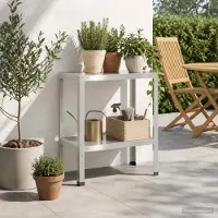 vidaXL Planttafel 60 x 40 x 80 cm Roestvrij staal zilver