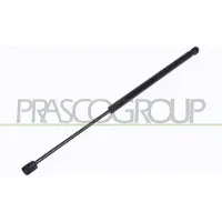 PRASCO PG0099055 Gasveer achterklep