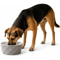 Belviona Keramische voerbak hond, antislip & vaatwasserbestendig, 550 ml mat donkergrijs/lichtgrijs