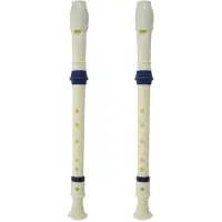 Exogio 2X Music Instrument 6 Holes Soprano Flute Recorder White