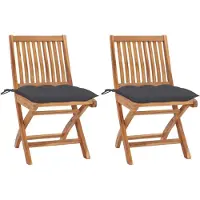 vidaXL Inklapbare stoelen 2 st met antracietkleurige kussens