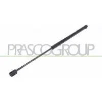 PRASCO OP7179055 Gasveer achterklep