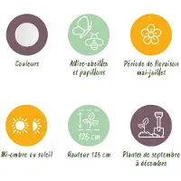 Green Boutiq - 3x Allium Mount Everest - Sierui - Wit - Zomerbloeier - Bolmaat 16/18