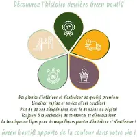 Green Boutiq - 20x Hyacinthoides non Scripta - Wilde hyacint - Blauw - Verwilderingsbol - Bolmaat 7/8