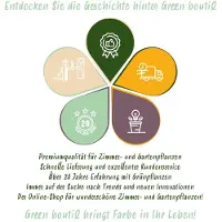 Green Boutiq - 5x Allium Gladiator - Sierui - Paars - Zomerbloeier - Bolmaat 16/18
