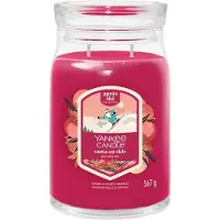 Yankee candle santa on skis signature large jar |