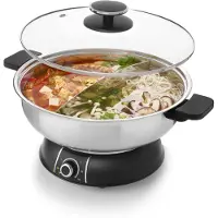 Fritel Hot Pot Fonduepan – HP 2970 – Elektrische Fondue met Gescheiden Kom – Voor Vis, Vlees, Soep & Dessert – 1600W – Inox/Zwart