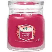 Yankee candle santa on skis signature medium jar |