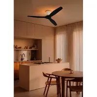 Create - Plafondventilator stil 40W (Ø132cm) - Sfeerlicht LED - Afstandsbediening - 6 snelheden - Programmeerbaar - WIND CALM CUSTOM RATTAN