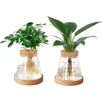 Famanu – Glazen vaas, set van 2, plantenkweekstation, transparante glazen plantenpot met houten deksel en bamboestandaard voor hydrocultuur, thuiskantoor en tafeldecoratie