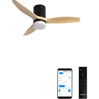 Create - Stille 40W plafondventilator met technische ABS bladen in verschillende maten - S - Met licht - WIFI - WIND CALM