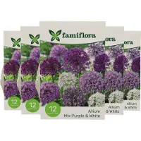 Famiflora Alium mix paars/wit 10/12 - 5 x 12 - 60 bloembollen - Bloeien van vroege lente tot middenjaar voor langdurige kleur en levendigheid in je tuin