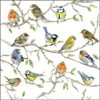 Ambiente Cocktail servetten Birds Meeting - - 25x25 cm