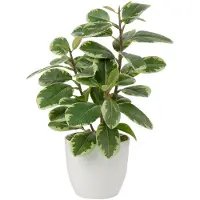 Famanu – Kunstplanten in pot van 28 cm voor woondecoratie, camellia bloemstukken, ideaal voor thuis en kantoor