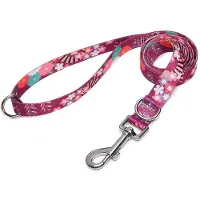 Famanu – Verstelbare hondenriem van zachte nylon, comfortabele trainingsriem met dubbele D-ring voor kleine, middelgrote en grote honden, 120 cm x 2 cm