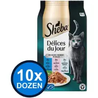 Sheba 10x - Délices Du Jour Pouch Gelei Vis Sel Multipack (6x50g) - Kattenvoer Natvoer - 300 g