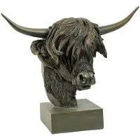 Coppens Schotse hooglander op voet Ulla S bruin |