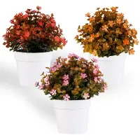 Famanu – Kunstplanten met pot, set van 3 stuks, kleine eucalyptus voor indoor decoratie