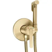 REA Inbouw Bidetmengkraan Ontario Brush Gold