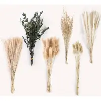 Famanu – Gedroogd pampasgras set van 65 stuks, natuurlijk pluizig riet voor boeket en vaasdecoratie