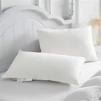 Famanu – Set van 2 donskussens van 50 x 75 cm, 3-kamer kussen met 100% dons en veren, hotelkwaliteit met katoenen overtrek