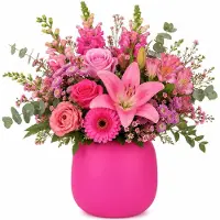 Plume Living Vaas Amelie - mat fuchsia roze - D22 x H25 cm - glas - bloemenvaas - voor stelen en boeketten