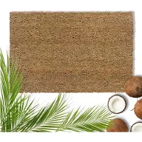 Famanu – Slijtvaste kokos deurmat van 40 x 60 cm, antibacterieel