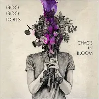 Warner Music Chaos in Bloom