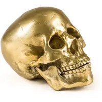 Seletti Diesel Wunderkammer Human Skull