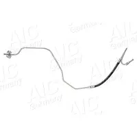 AIC 73917 Remslang