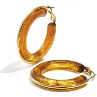 Yehwang Fae - Onregelmatige Oorbellen - Hars - Stainless Steel - - Amber