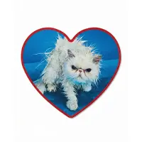 Seletti Toiletpaper Badmat Angry Cat