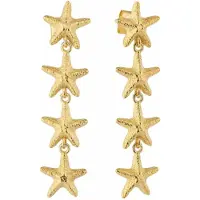 Radiant Ry000136 Oorbellen