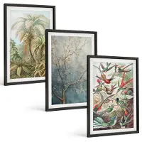 Wallfluent 3-Delige Schilderij Set - Tropische Planten En Kleurrijke Vogels In De Natuur - 40 x 60 cm - Stijlvolle Muurdecoratie - Slaapkamer - Wanddecoratie
