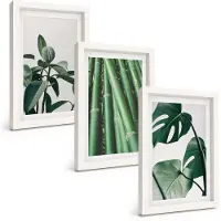 Wallfluent 3-Delige Schilderij Set - Bamboe Stengels, Kamerplanten En Monstera Bladeren - 20 x 30 - Schilderijen Set - Wanddecoratie - Woonkamer - Decoratieve Schilderijen