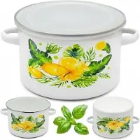 Tragar Geëmailleerde soeppan met deksel 1,85L, 16cm, Citroen print