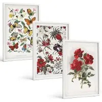Wallfluent 3-Delige Schilderij Set - Vlinders, Bloemen En Rode Rozen In Een Klassieke Stijl. - 40 x 60 - Wanddecoratie - Schilderijen Set - Kantoor - Moderne Wanddecoratie