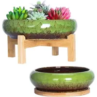 Famanu – Vetplant pot, set van 2 grote bonsai potten met dienblad, 18,5/25 cm, kleurrijke keramische potten voor cactusplanten en tuindecoratie