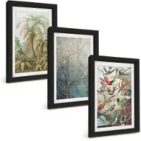 Wallfluent 3-Delige Schilderij Set - Tropische Planten En Kleurrijke Vogels In De Natuur - 20 x 30 cm - Wanddecoratie - Muurdecoratie - Woonkamer