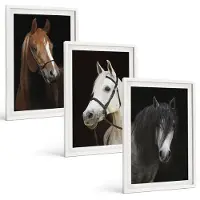 Wallfluent 3-Delige Schilderij Set - Portretten Van Paarden In Verschillende Vachtkleuren - 40 x 60 - Decoratieve Muurdecoratie - Slaapkamer - Stijlvolle Muurdecoratie