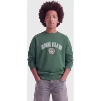 Only & Sons Junior Sweatshirt 'OSJCole' groen / oranje / wit