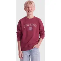 Only & Sons JUNIOR sweat sweater met borduursels en tekst - rood Printopdruk - maat 158/164
