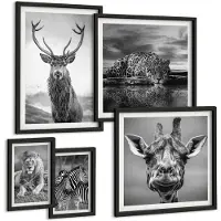Wallfluent 5-Delige Schilderij Set - Dieren In Zwart-Wit Uit De Natuur En Het Wild. - 50 x 50 cm, 20 x 30 cm En 40 x 60 cm - Muurdecoratie - Decoratieve Schilderijen - Wohnzimmer