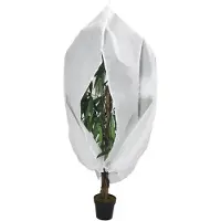 vidaXL Plantenhoes met ritssluiting 70 g/m² 3,93x3 m