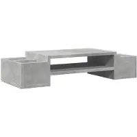 vidaXL Monitorstandaard met opbergruimte 70x27x15 cm hout betongrijs